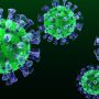 Pakistan registers first MERS Coronavirus case