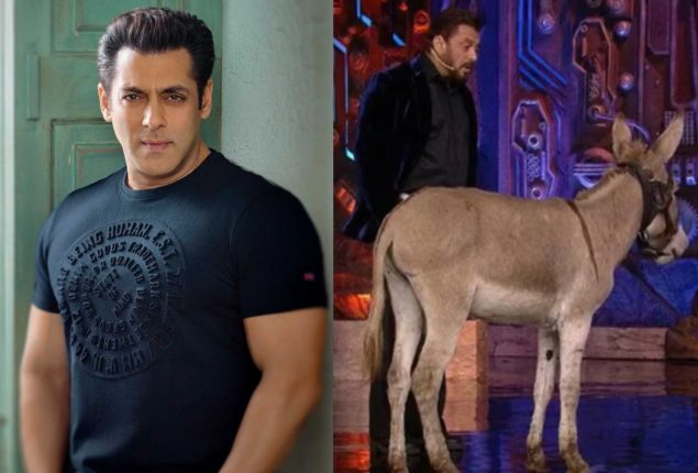 Salman Khan
