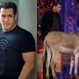 PETA India urges Salman Khan to avoid using animals as props for entertainment