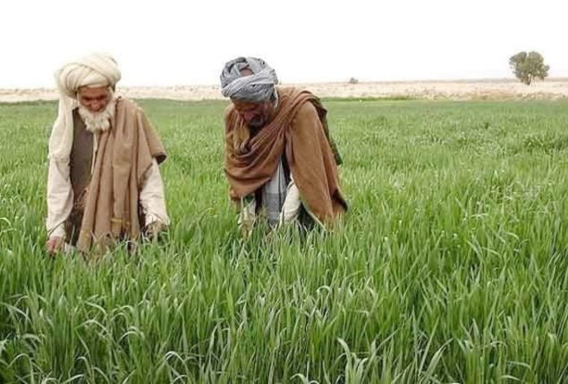 Govt decides to impose tax on agriculture income from July 2025