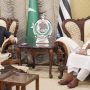 Bilawal, JUI-F chief discuss political situation
