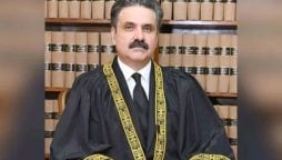 CJP stresses essential role of judges, lawyers in defending rights