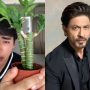 Japanese man goes viral for mimicking Shah Rukh Khan in Japanese: Watch