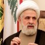 Naeem Qasim appointed as leader of Hezbollah