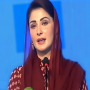 ‘1,000 super seeders will be provided to farmers across Punjab,’ Maryam Nawaz