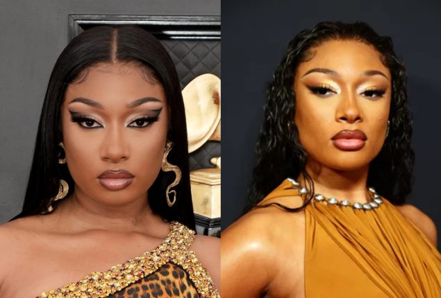 Why Megan Thee Stallion rejected documentary plans?