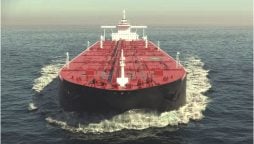 Petroleum Imports