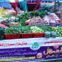 How PMBMC Created Jobs and Boosted Public Welfare Across Punjab