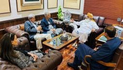 PPP willing to adopt 26th Constitutional Amendment even after Oct 25: Sherry