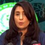 Participation of foreign nationals in Pakistan’s political activities unacceptable: FO