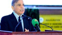 PM Shehbaz to address Arab-Islamic summit