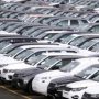 Car Sales See 49.66% Growth During Jul-Nov FY 2024-25