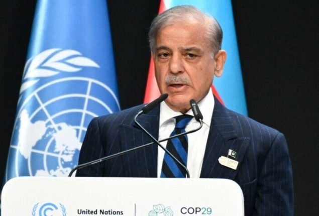 COP-29 Summit