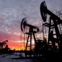 India says Russian oil supplies vital in keeping global prices stable