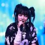 Billie Eilish stops concert to criticize Donald Trump’s win in US election 2024
