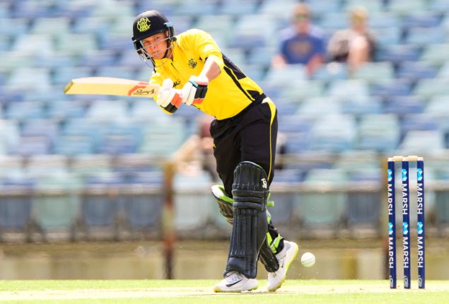 Australia T20 squad