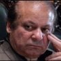Sharif family releases statement about Hassan’s bankruptcy