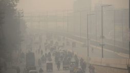 Smog crisis: Punjab govt introduces work-from-home policy for office employees