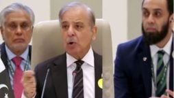 'Humanity is being tested and failing in Gaza': PM Shehbaz Sharif