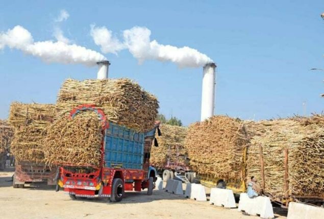 FIA to monitor sugar mills during crushing season