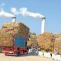 FIA to monitor sugar mills during crushing season