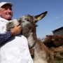 Donkey milk makes waves in Albania as demand for donkey milk products increase