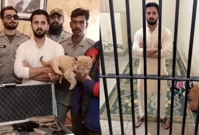 Rajab Butt arrested for Illegal weapon display and possession of Lion Cub