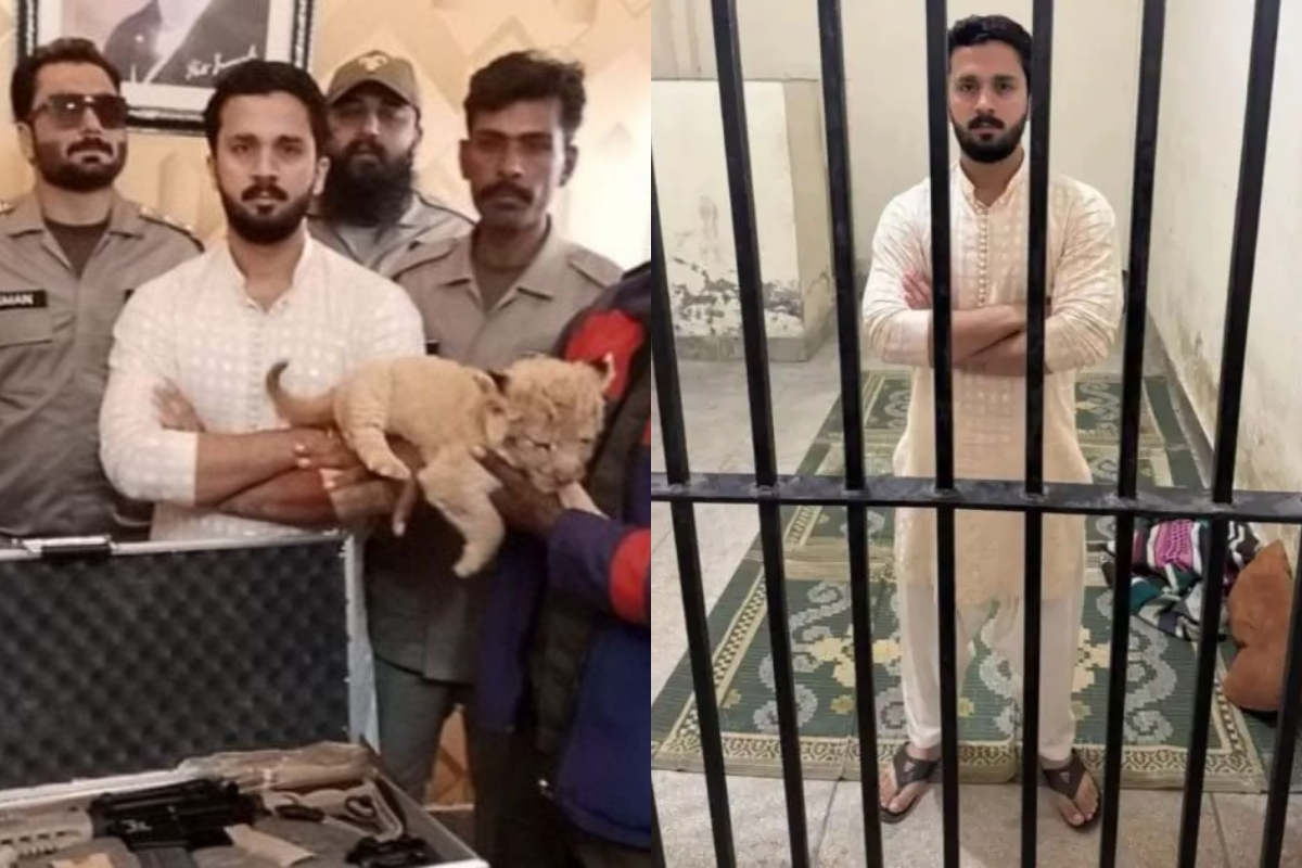 Rajab Butt arrested for Illegal weapon display and possession of Lion Cub