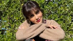 Fiza Ali under fire for comments on actresses cosmetic surgeries