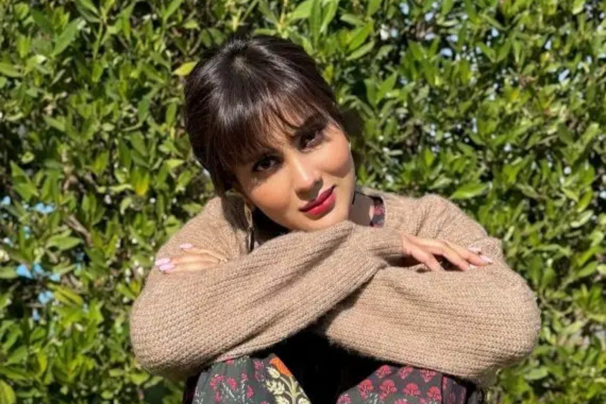 Fiza Ali under fire for comments on actresses cosmetic surgeries