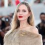 Angelina Jolie unveils reason behind taking years-long acting break