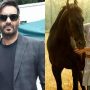 Ajay Devgn delivers another viral hit as his song ‘Azaad’ get praises