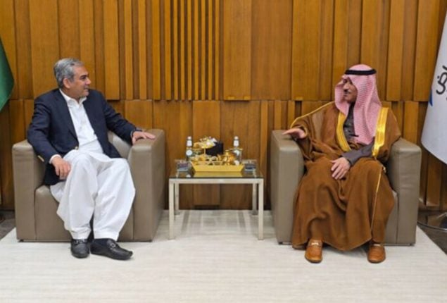 Pakistan, Saudi Arabia pledge to address shared security concerns