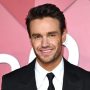 Liam Payne’s friend Roger Nores accuses Buenos Aires hotel of singer’s death