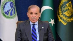 Pakistan calls for ‘decisive’ global action on Gaza, Lebanon