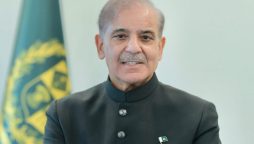 PM Shehbaz orders quick inquiry into Greek boat incident