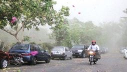Cold winds expected in Karachi after brief respite