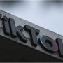 TikTok Chief Thanks Trump for Support Against Looming US Ban