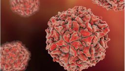 New WPV1 case reports in Pakistan 