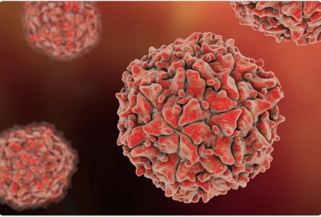 New WPV1 case reports in Pakistan