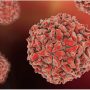 New WPV1 case reports in Pakistan 