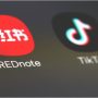 Chinese app RedNote stepping up as TikTok alternative