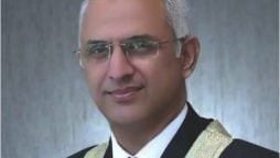 IHC Judge