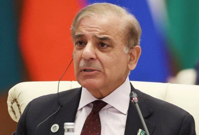 PM Shehbaz assures Pakistan’s support for Gaza reconstruction