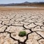 LHC seeks report on severe water shortage, drought