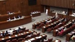 Senate body