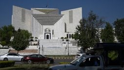 Federal Govt