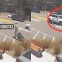 Fan’s selfie attempt with American cricketer goes wrong, Causes car accident with Sam Konstas