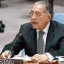 Pakistan calls for representative governance in Syria to ensure unity