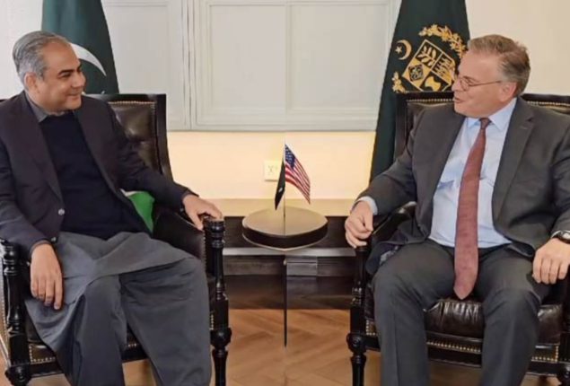 Naqvi bids farewell to US Ambassador Donald Blome